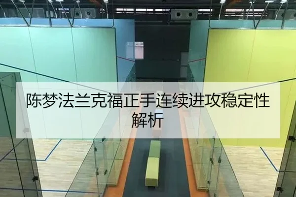 陈梦法兰克福正手连续进攻稳定性解析